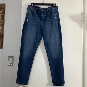 Joe's Jeans Distressed Blue Denim